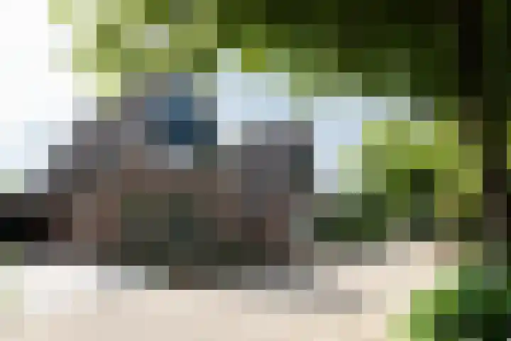 Van Speijkstraat 7 Papendrecht thumbnail 5