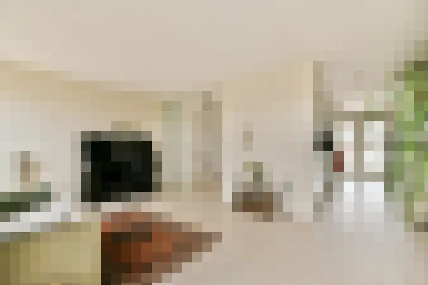van Speijkstraat 71 Zandvoort thumbnail 8
