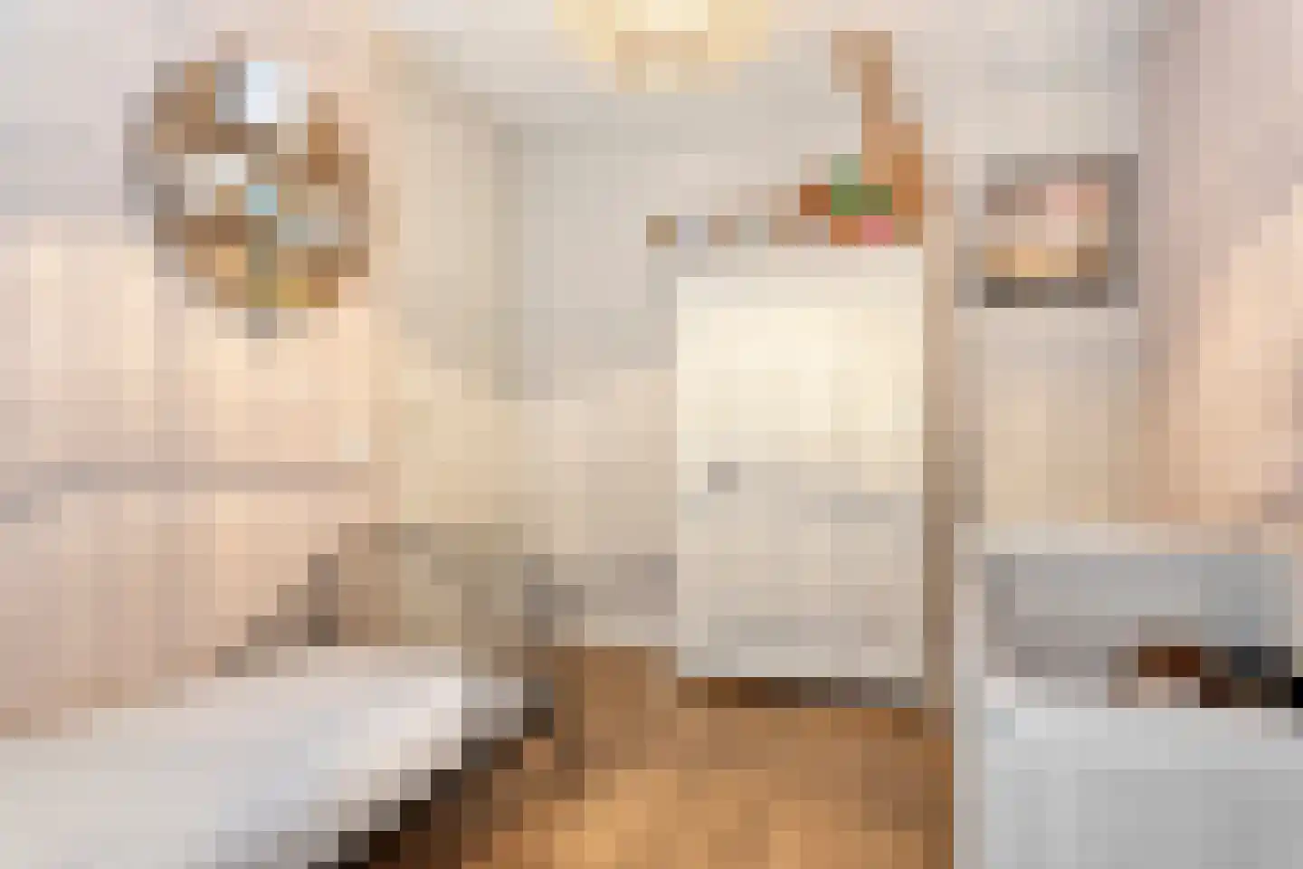 van Speijkstraat 72 Eindhoven thumbnail 22