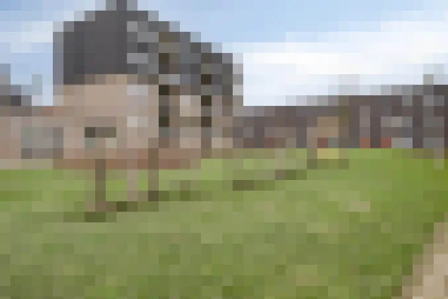van Speijkstraat 72 Eindhoven thumbnail 30