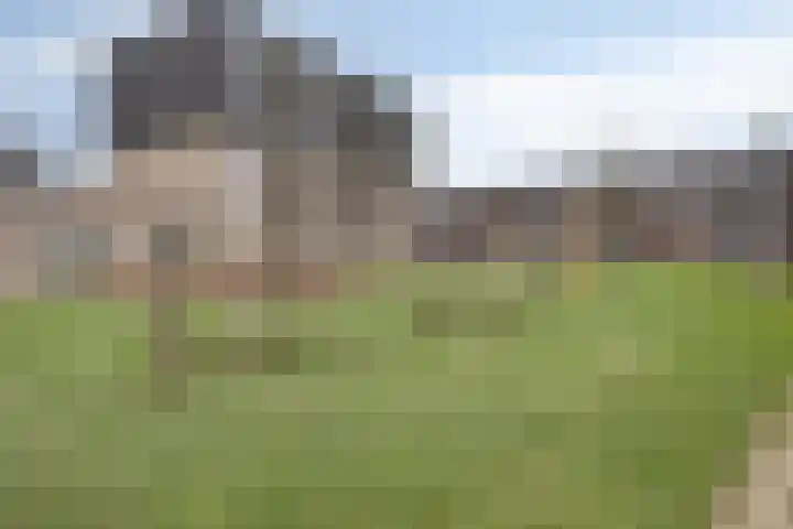 van Speijkstraat 72 Eindhoven thumbnail 30