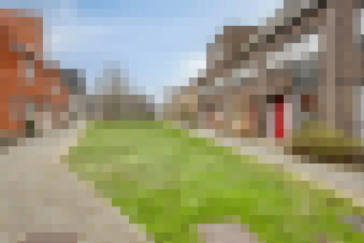van Speijkstraat 72 Eindhoven thumbnail 31
