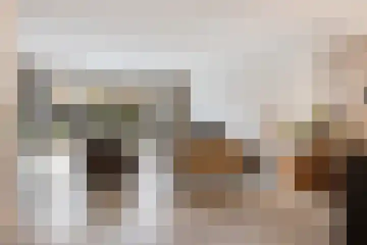 van Speijkstraat 72 Eindhoven thumbnail 9