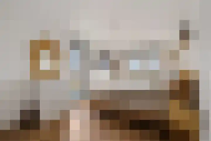van Speijkstraat 79 Zandvoort thumbnail 8