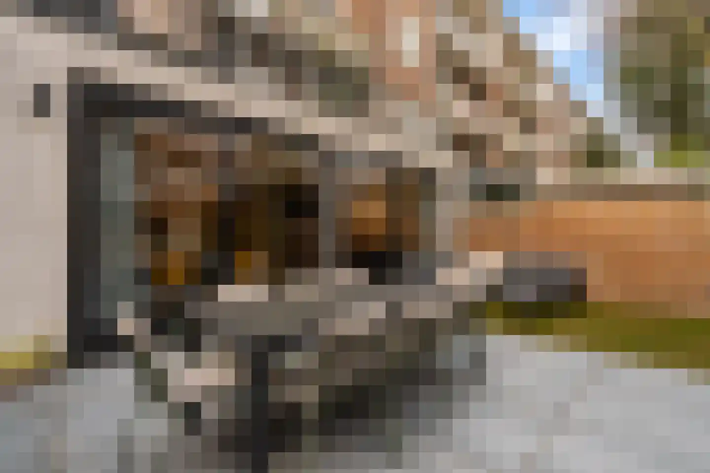 Van Speijkstraat 8 Amsterdam thumbnail 16