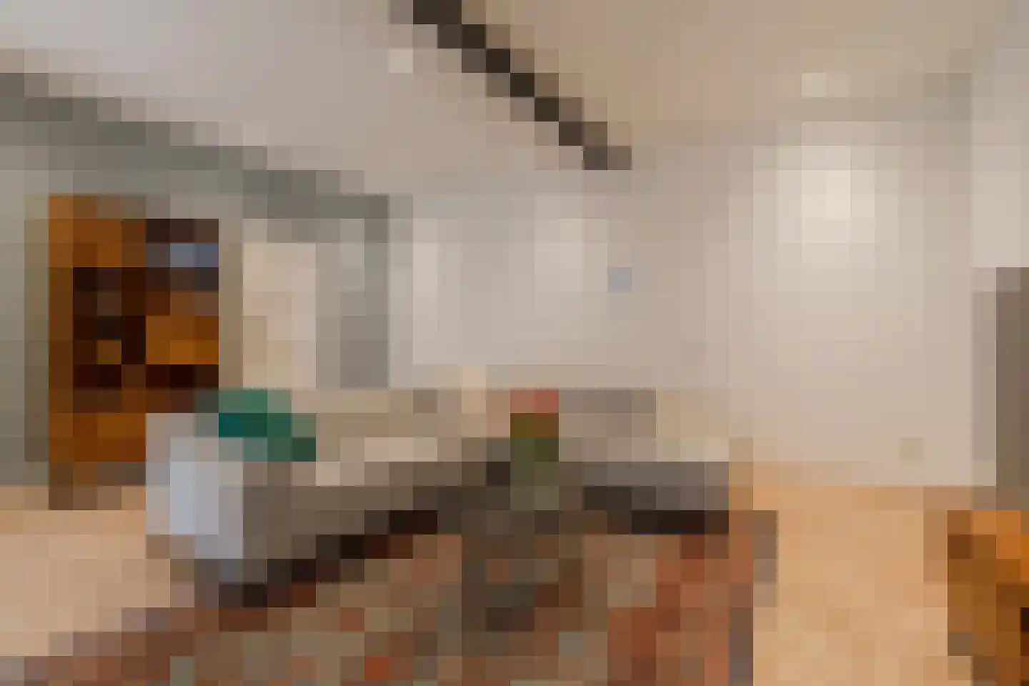 Van Speijkstraat 8 Amsterdam thumbnail 5