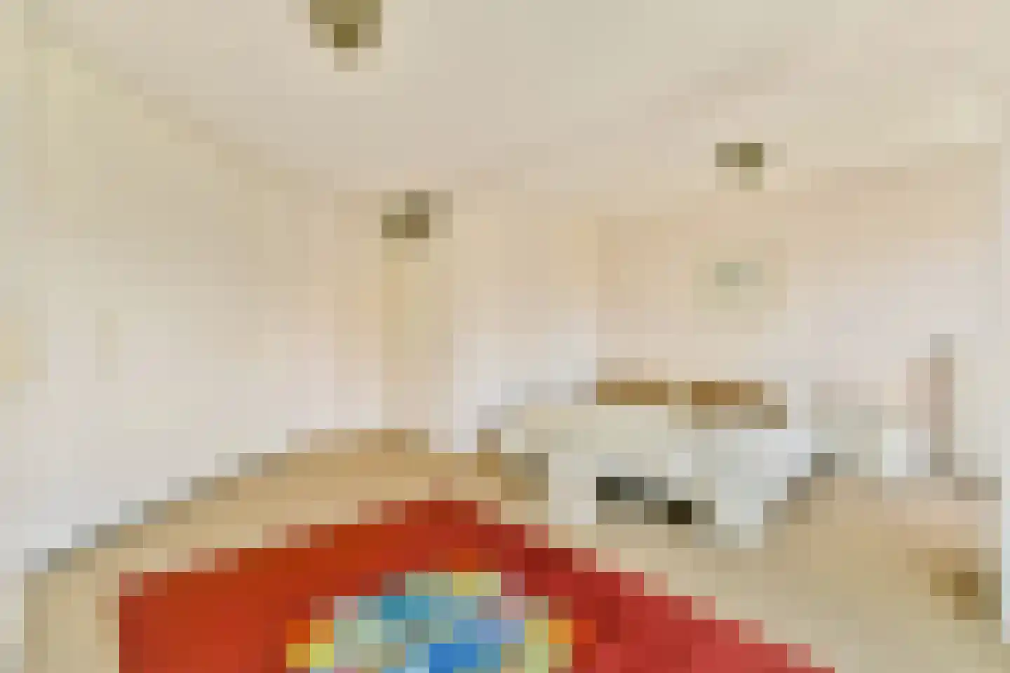 van Speijkstraat 83 Zandvoort thumbnail 16