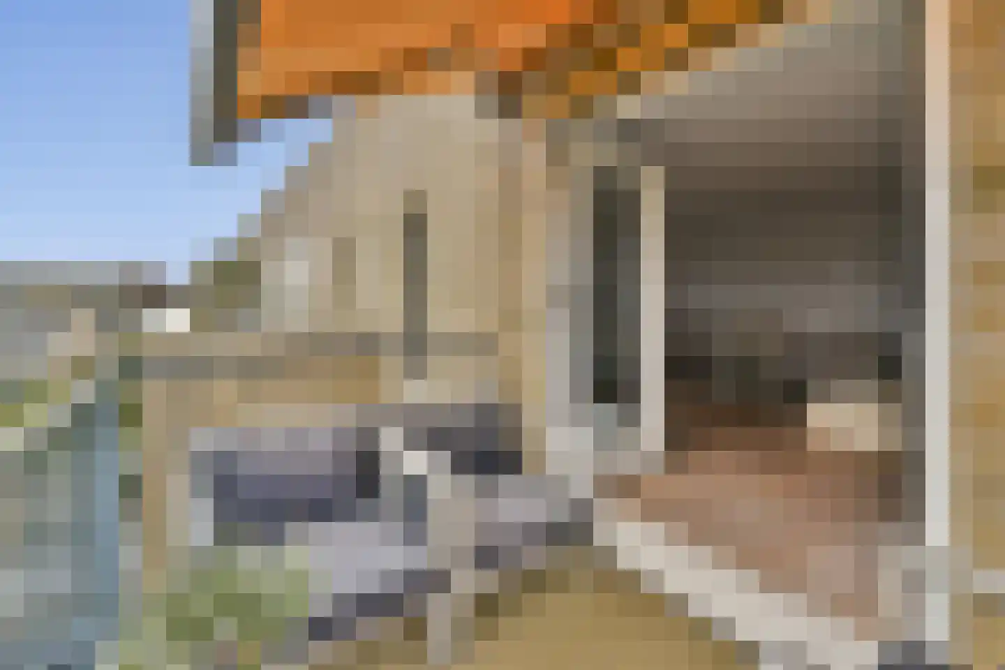 van Speijkstraat 89 Zandvoort thumbnail 10