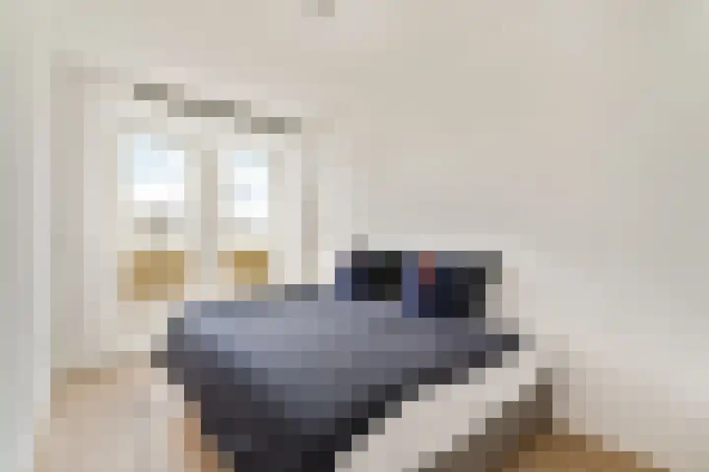 van Speijkstraat 89 Zandvoort thumbnail 15