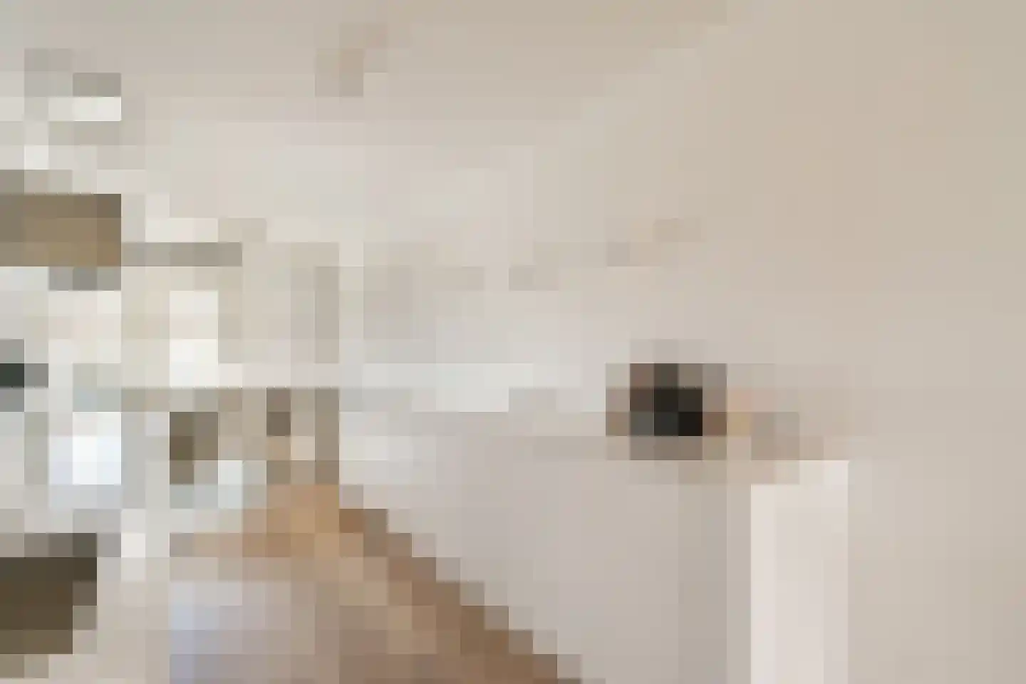 van Speijkstraat 89 Zandvoort thumbnail 7