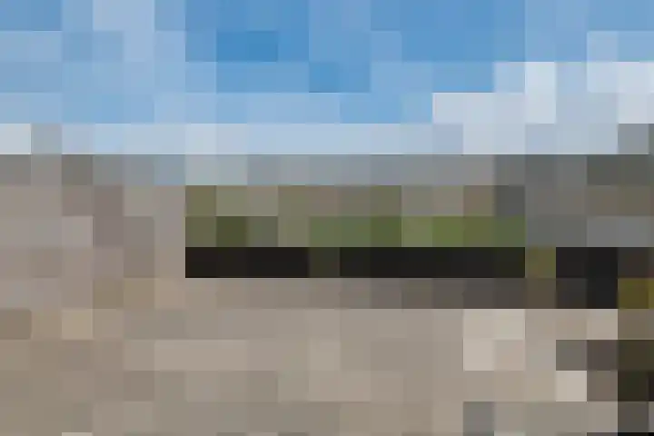 van Speijkstraat 91 Zandvoort thumbnail 34
