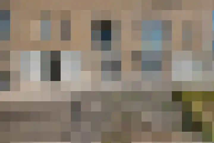 van Speijkstraat 91 Zandvoort thumbnail 43