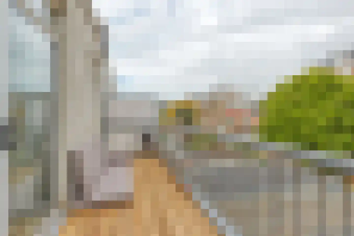 Van Speijkstraat 93 Den Haag thumbnail 8