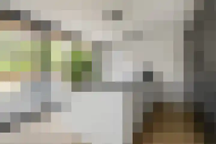 van Speyk 118 Boxmeer thumbnail 13