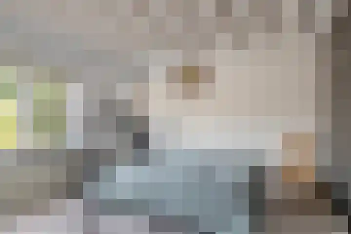 van Speyk 118 Boxmeer thumbnail 20