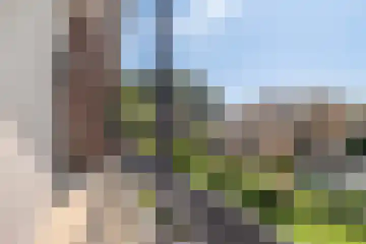 van Speyk 118 Boxmeer thumbnail 25