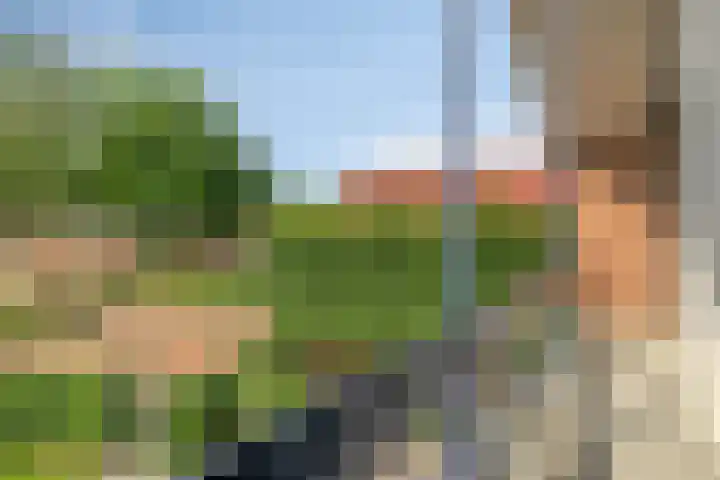 van Speyk 118 Boxmeer thumbnail 26