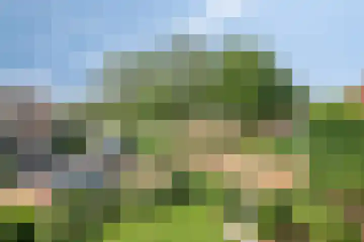 van Speyk 118 Boxmeer thumbnail 27