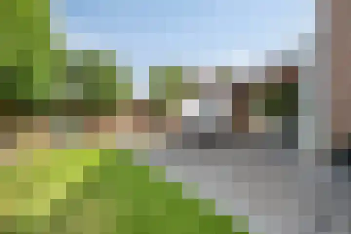 van Speyk 118 Boxmeer thumbnail 28