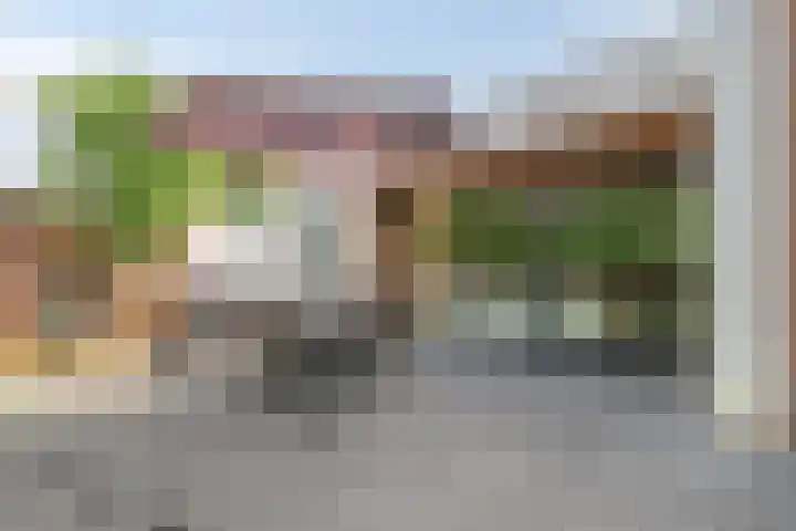 van Speyk 118 Boxmeer thumbnail 29
