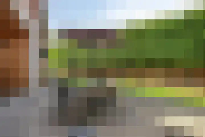 van Speyk 118 Boxmeer thumbnail 31