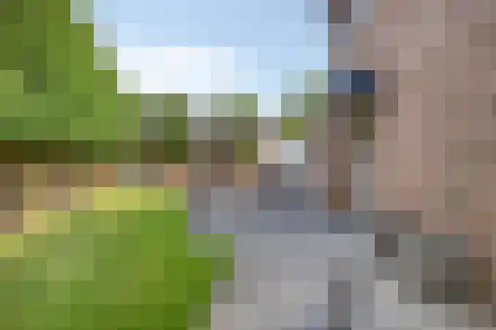 van Speyk 118 Boxmeer thumbnail 32