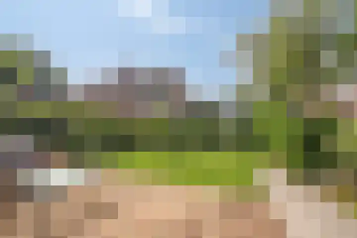 van Speyk 118 Boxmeer thumbnail 34