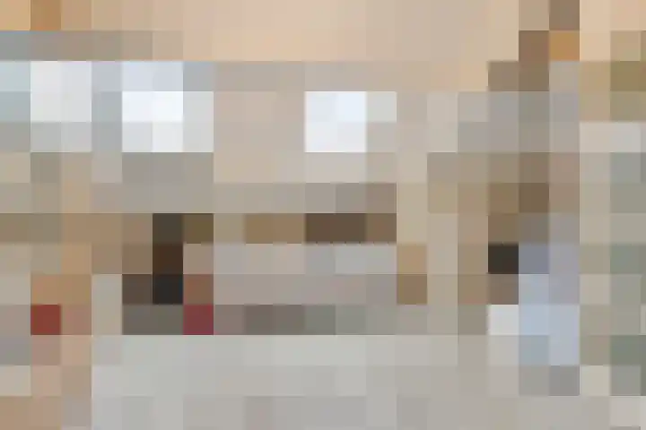 van Speyk 19 Boxmeer thumbnail 25