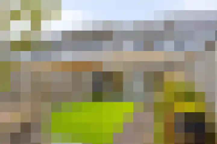 van Speyk 19 Boxmeer thumbnail 27