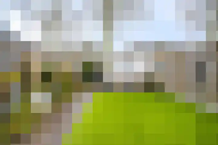 van Speyk 19 Boxmeer thumbnail 28