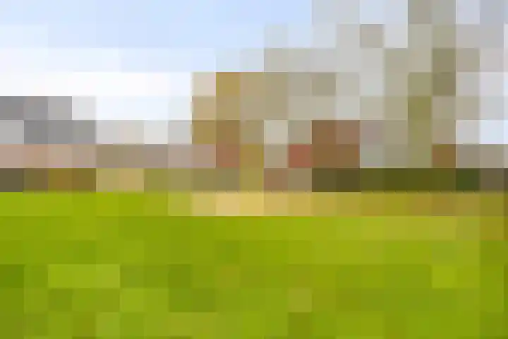 van Speyk 19 Boxmeer thumbnail 31