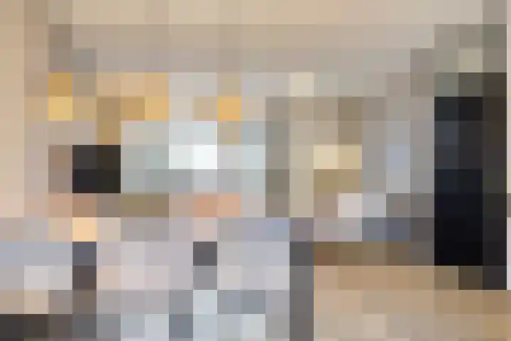 van Speyk 19 Boxmeer thumbnail 6