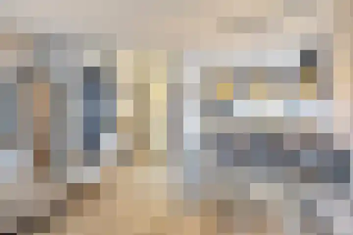 van Speyk 19 Boxmeer thumbnail 9