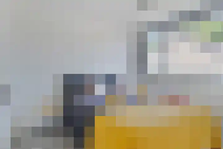 van Speyk 45 Boxmeer thumbnail 30