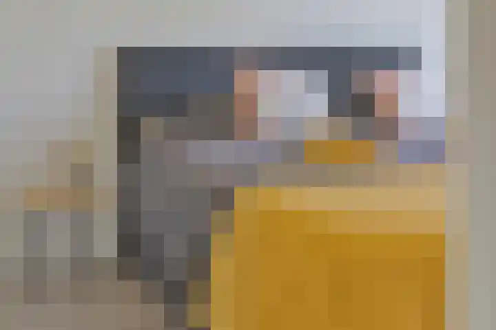 van Speyk 45 Boxmeer thumbnail 31