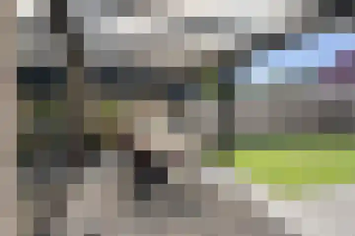 van Speyk 45 Boxmeer thumbnail 38
