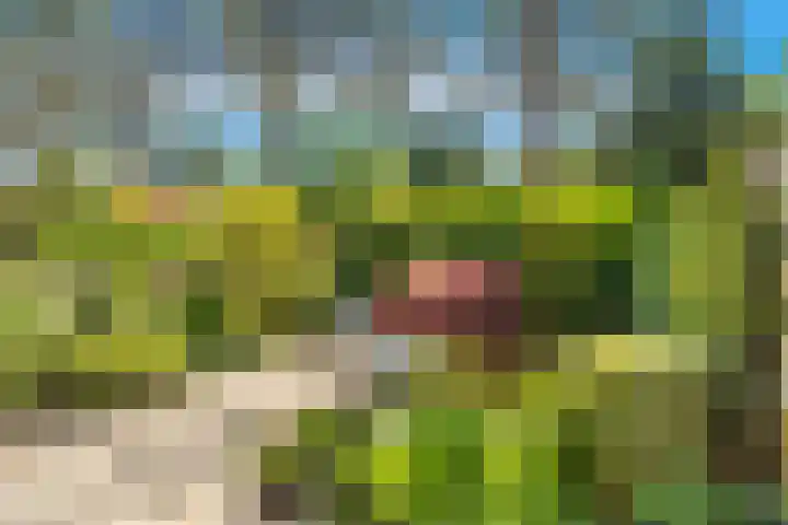 Van Speykkade 45 Castricum thumbnail 30