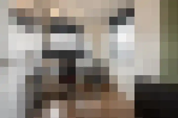 Van Speyklaan 21 Harderwijk thumbnail 18