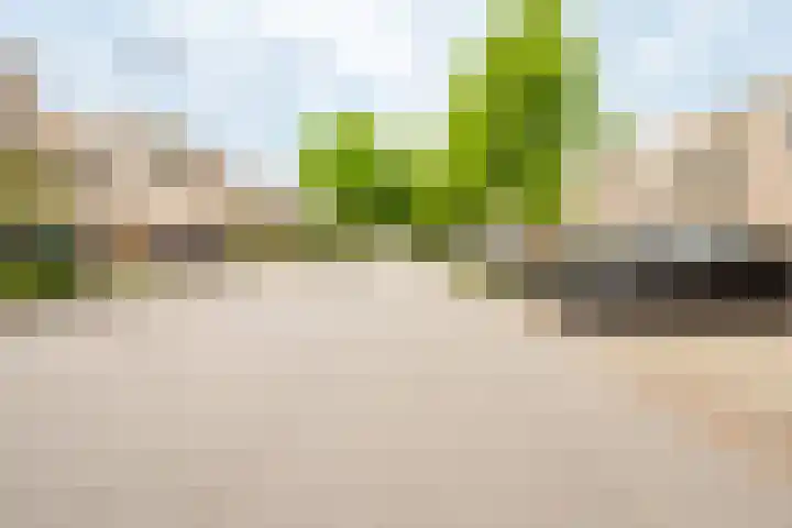 Van Speyklaan 21 Harderwijk thumbnail 37