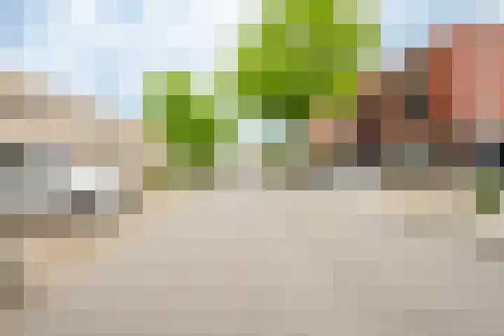 Van Speyklaan 21 Harderwijk thumbnail 39
