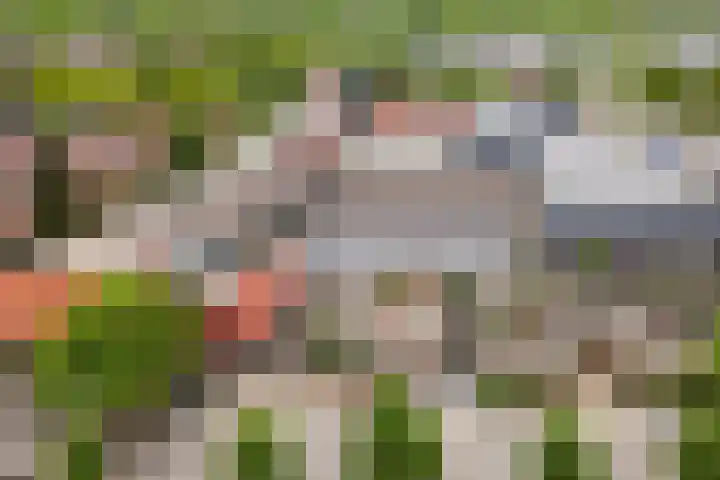 Van Speyklaan 21 Harderwijk thumbnail 43