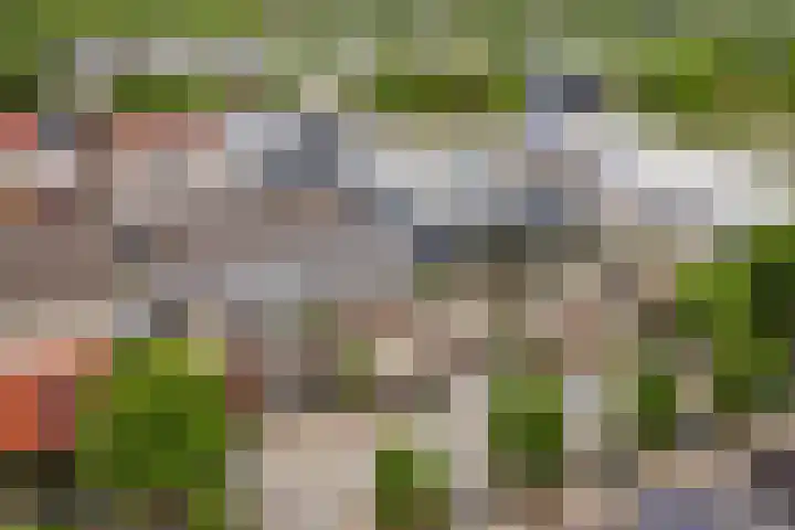 Van Speyklaan 21 Harderwijk thumbnail 44