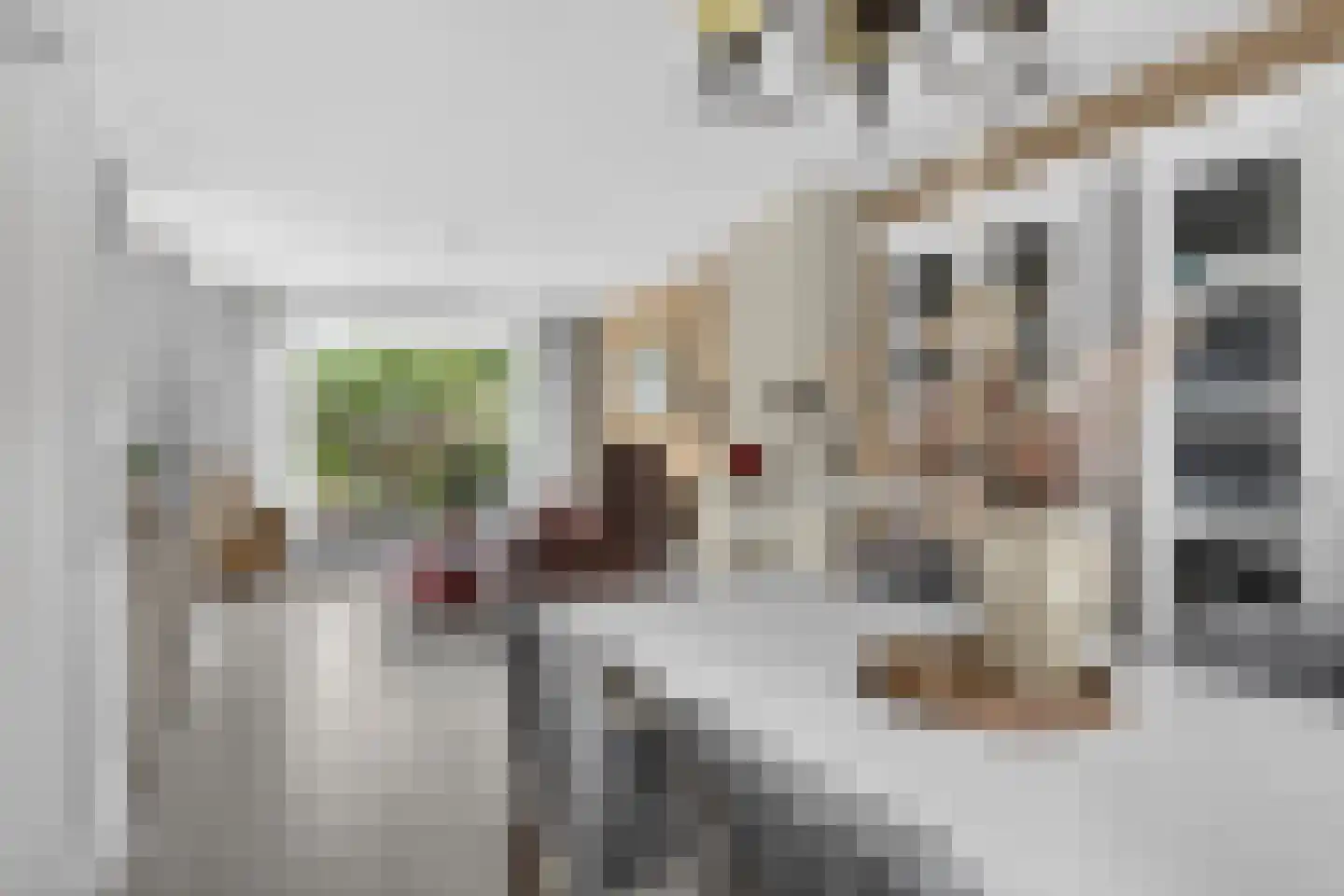Van Speyklaan 300 Harderwijk thumbnail 12