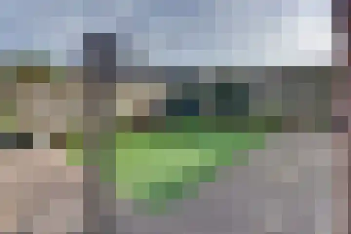 Van Speyklaan 314 Harderwijk thumbnail 43