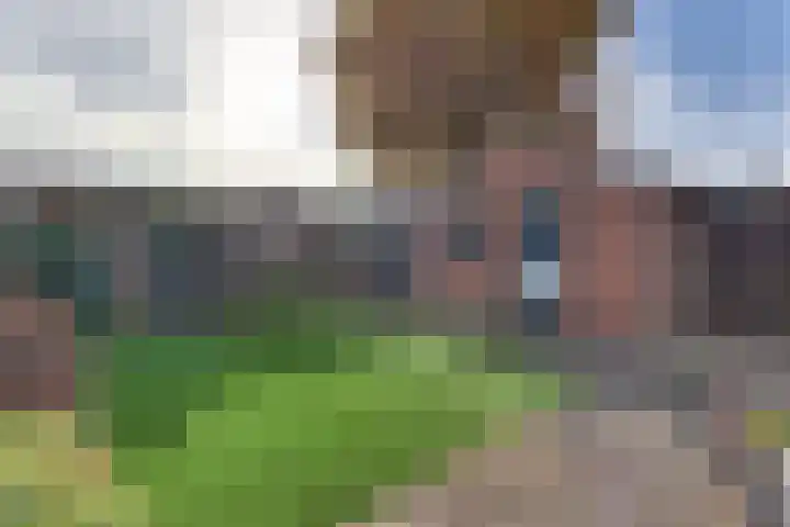Van Speyklaan 314 Harderwijk thumbnail 44