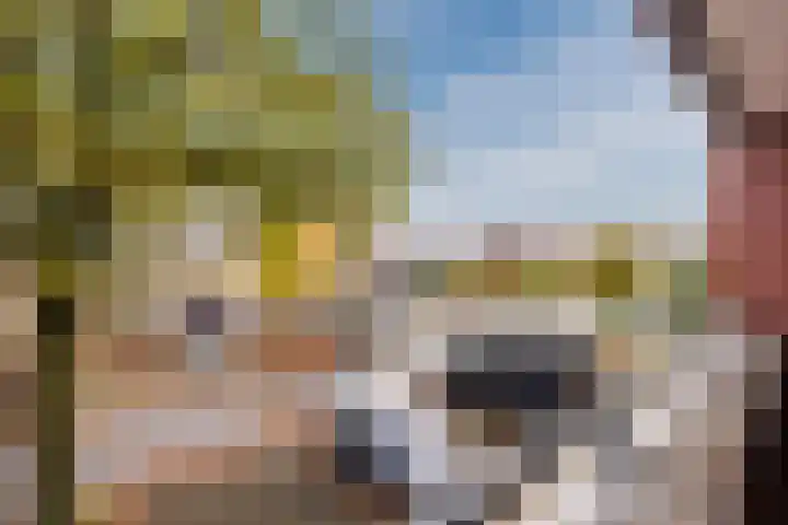 Van Speyklaan 7 Harderwijk thumbnail 21