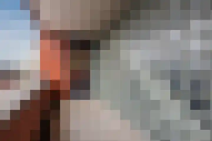 Van Speyklaan 7 Harderwijk thumbnail 33