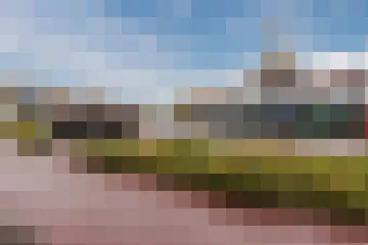 Van Speyklaan 7 Harderwijk thumbnail 39