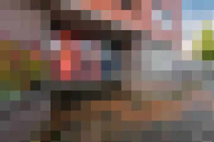 Van Speyklaan 7 Harderwijk thumbnail 5