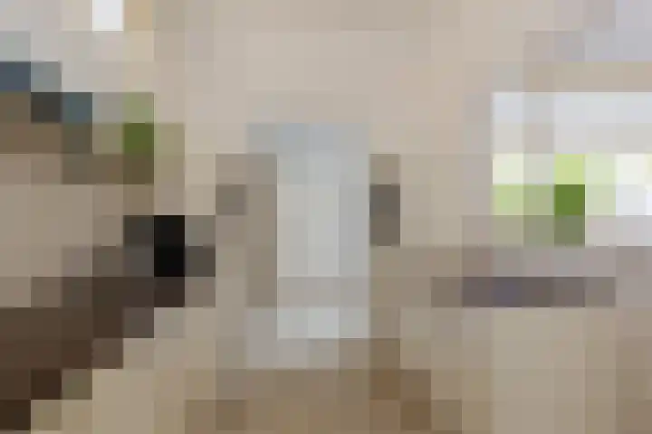 van Speykstraat 1 Lisse thumbnail 21